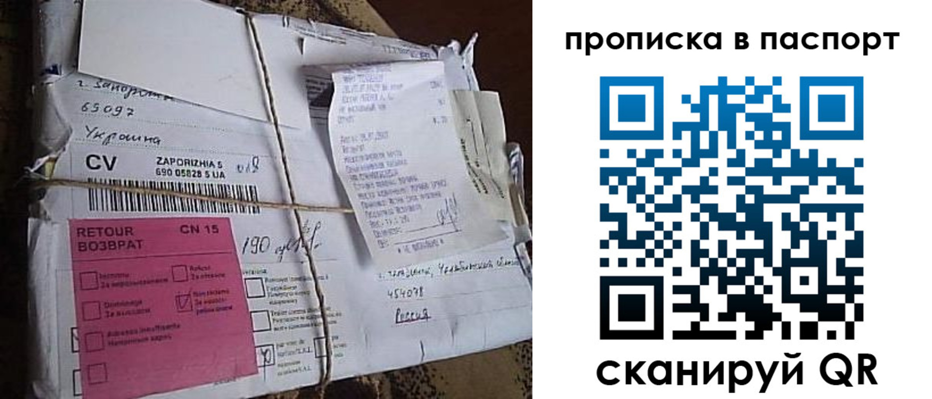 прописка в Кольчугино
